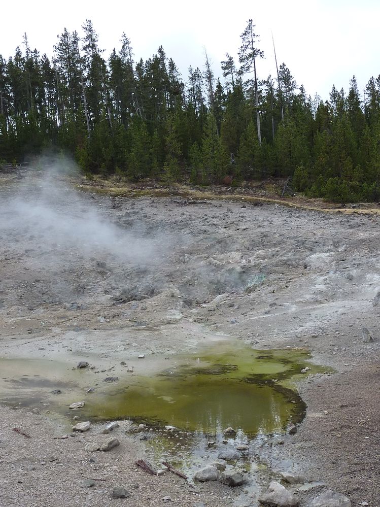 Yellowstone Norris Geyser (136).JPG